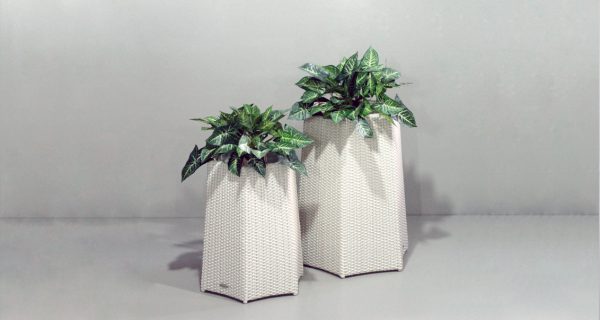 Hexagonal Planters