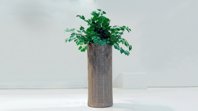 Ladepa Planters Tall