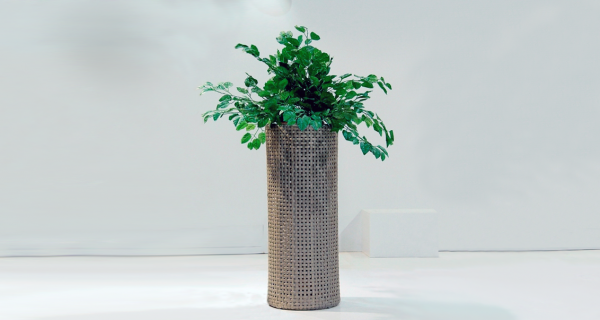 Ladepa Planters Tall