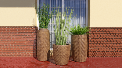 Valiente Planters