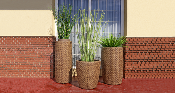 Valiente Planters