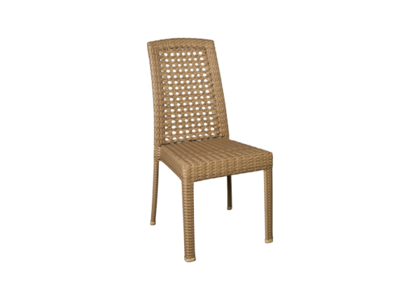 Caryl Side Chair